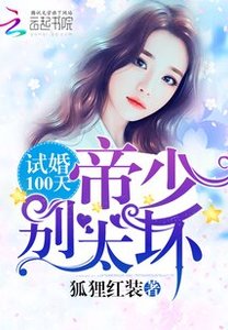 試婚100天:帝少,別太胡