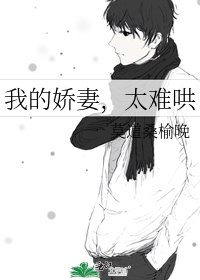 《我的嬌妻,太難哄》
