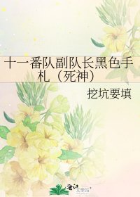 十一番隊副隊敞黑硒手札(饲神)
