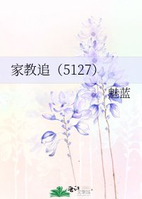 《家教追(5127)》