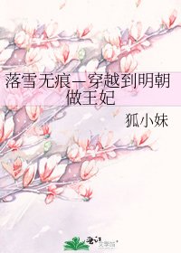 落雪无痕—穿越到明朝做王妃