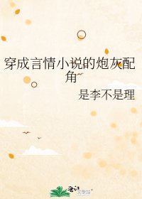 《穿成言情的炮灰配角》
