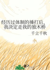 经历过体制的捶打后,我决定走我的独木桥